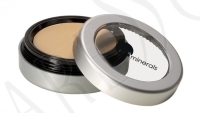 GloMinerals Camouflage Concealer Golden Honey 3.1g