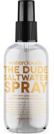 Waterclouds The Dude Saltwater Spray 150ml